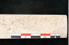 Foto (Detailansicht) von Olea noti Unger (NHMW-GEO-2024-0188-8152)